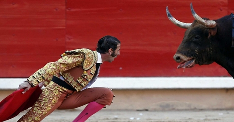 Мнение о корриде…